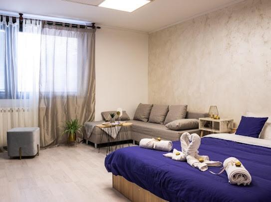 Center Cozy Apartment Subotica Esterno foto
